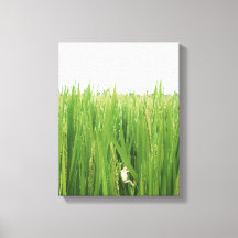 A Frog Climbing Up Fresh Grasses