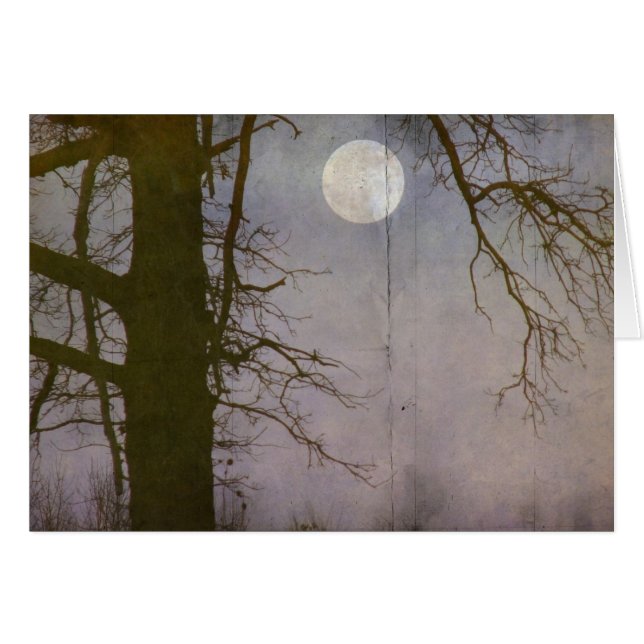 A Full Moon (Front Horizontal)