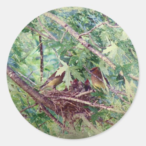 A Full Nest Parents and Baby Birds Classic Round Sticker