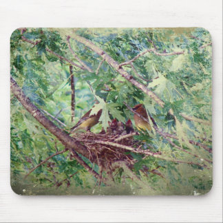 A Full Nest, Parents and Baby Birds Mouse Pad