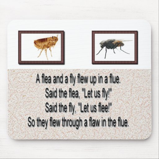 A Fun Flea & Fly In A Flue Mousepad | Zazzle