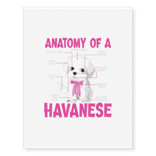 A Funny Anatomy Of A Havanese Dog Owners Temporary Tattoos