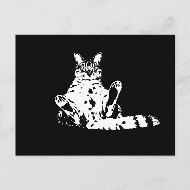 A Funny Grumpy Cat with Cattitude Postcard (Front)