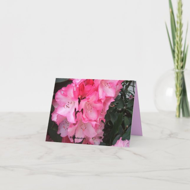 A Gala Rhododendron Explosion Card (Front)