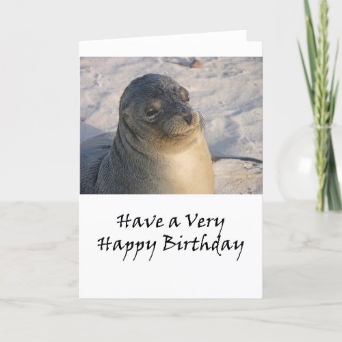 A Galapagos Seal Birthday Card