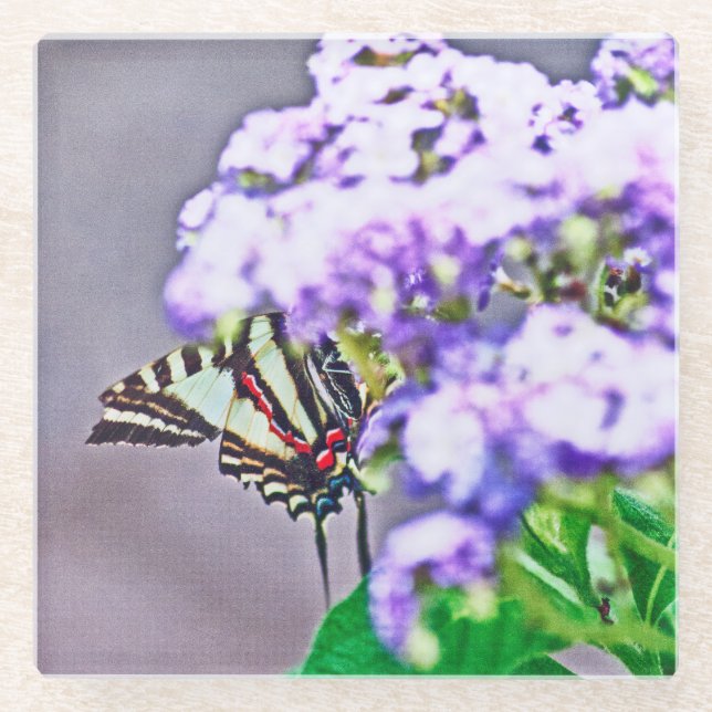 A Game of Hide and Seek Glass Coaster (Front)