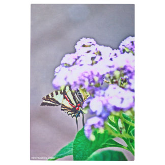 A Game of Hide and Seek Metal Print
