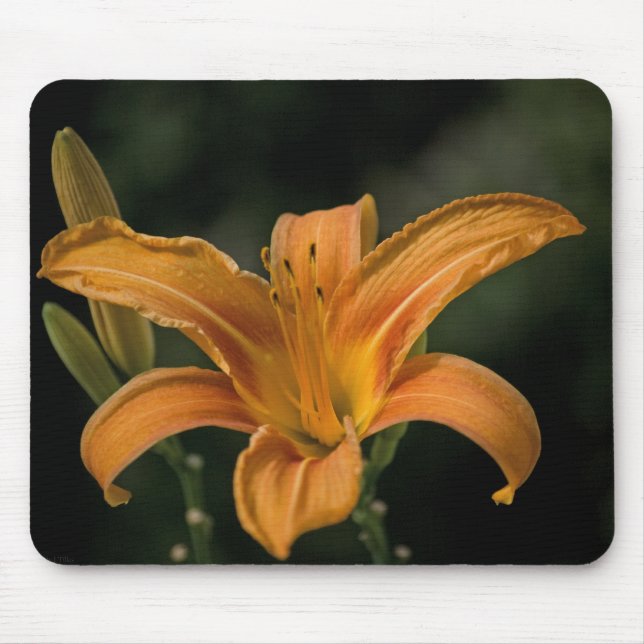 A Garden Delight Mousepad (Front)
