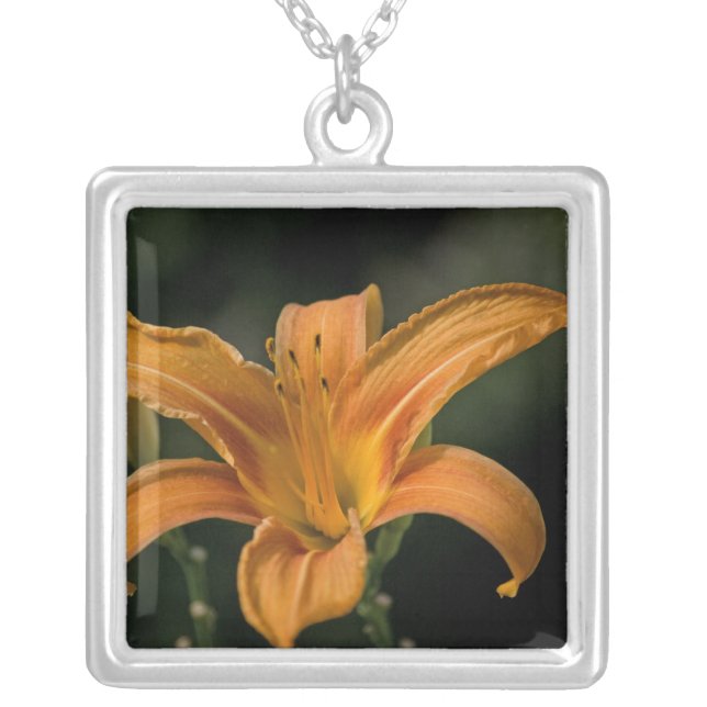 A Garden Delight Necklace (Front)