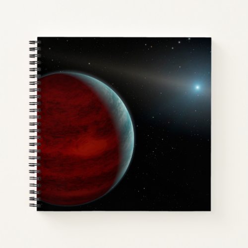 A Gas Giant Planet Around A White Dwarf Star Notebook