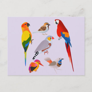 A Gathering of Birds Postcard