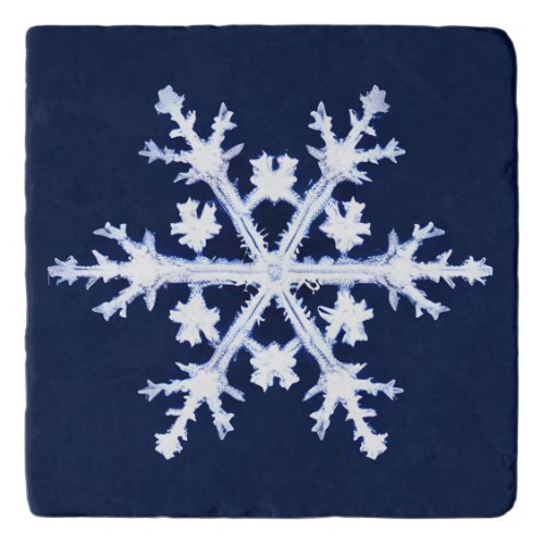 A Giant Ice Crystal Snowflake on Dark Indigo Blue Trivet