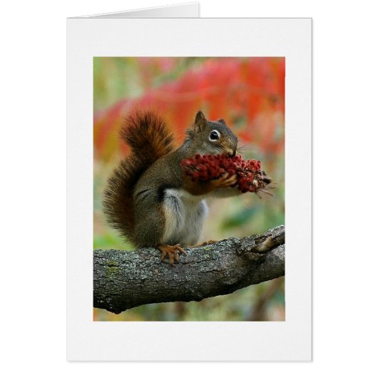A gift for you cards (Front)