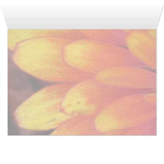 A Gift of Flowers (Inside Horizontal (Bottom))