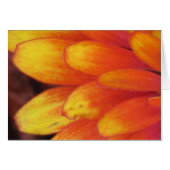 A Gift of Flowers (Front Horizontal)