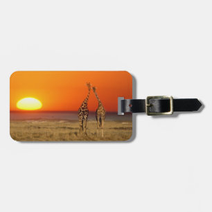 A Giraffe couple walks into the sunset, in Luggage Tag
