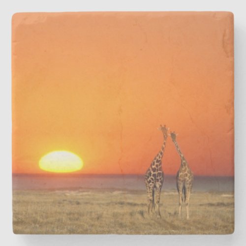 A Giraffe couple walks into the sunset in Stone Coaster