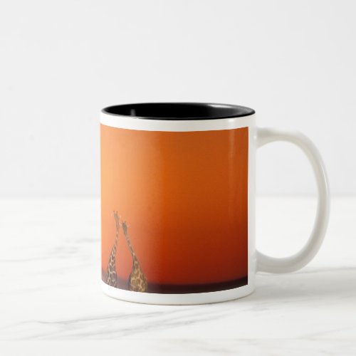 A Giraffe couple walks into the sunset in Two_Tone Coffee Mug