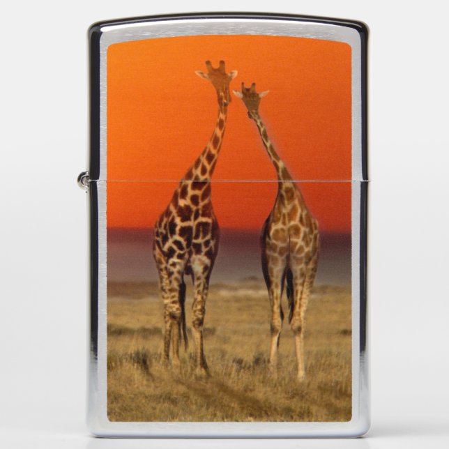 A Giraffe couple walks into the sunset, in Zippo Lighter (Front)