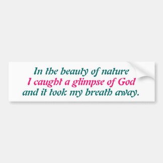 A glimpse of God Bumper Sticker