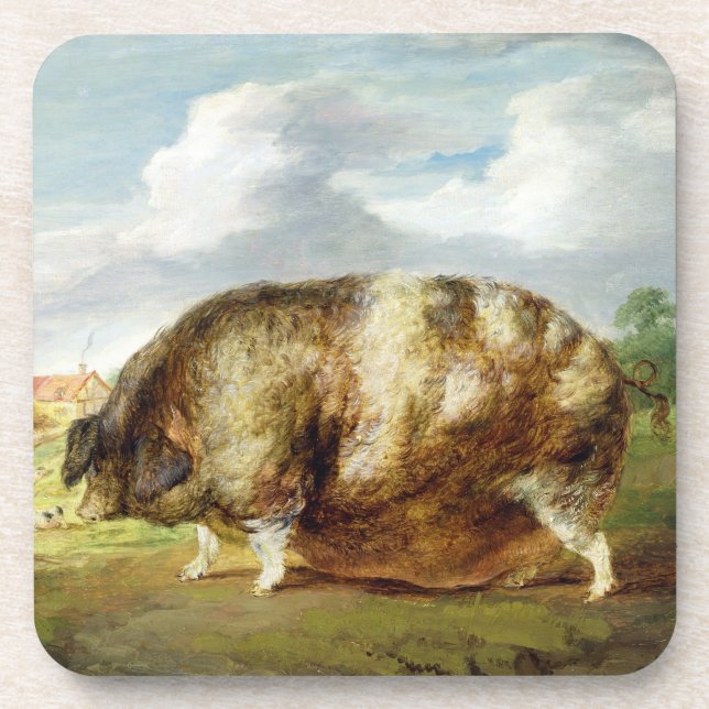 A Gloucestershire Old Spot (oil on panel) Drink Coaster (Front)