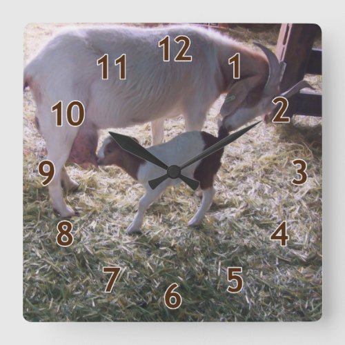 A Goat and Her Kid v2 Square Wall Clock