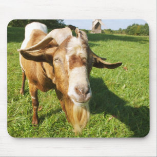 A goat - mousepad