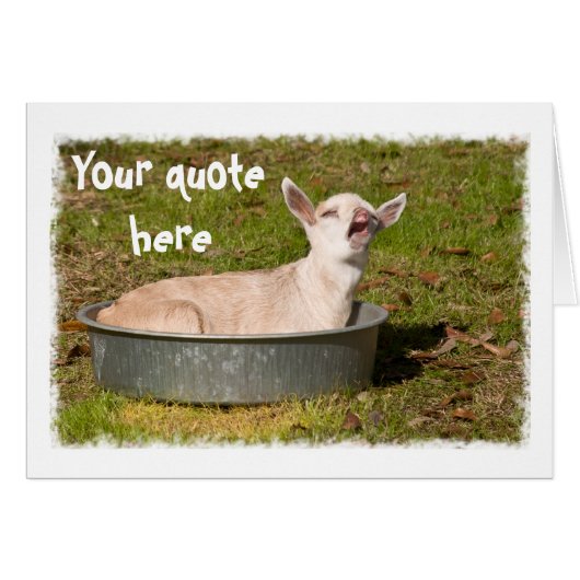 A Goat's View Cards (Front Horizontal)