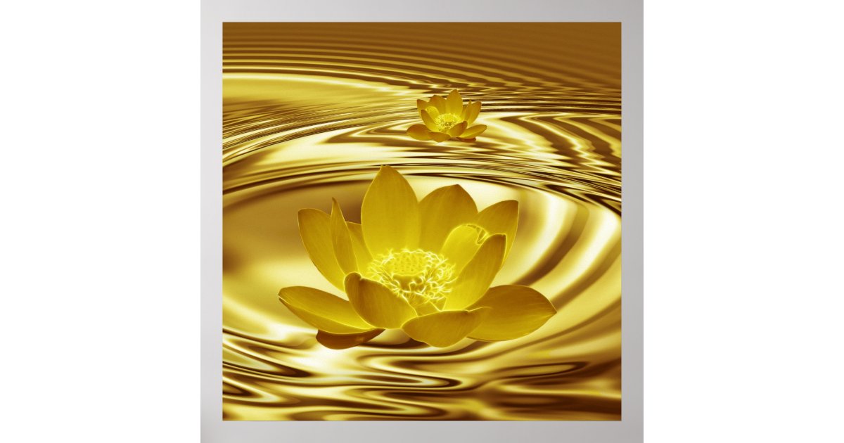 A gold lotus flower and reflections poster | Zazzle