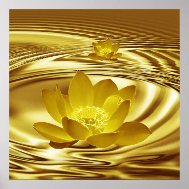 A gold lotus flower and reflections poster | Zazzle