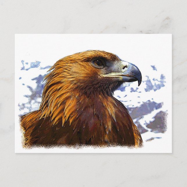 A Golden Eagle Postcard (Front)