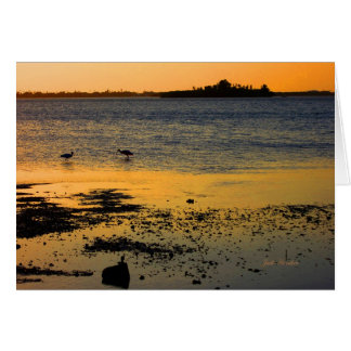 "A Golden Sunset" in Dunedin, Florida Cards