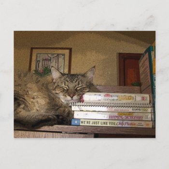 A Good Book Postcard by DanceswithCats at Zazzle