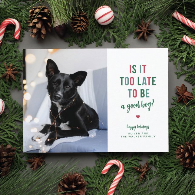 A Good Boy Funny Pet Holiday Photo Card (Creator Uploaded)