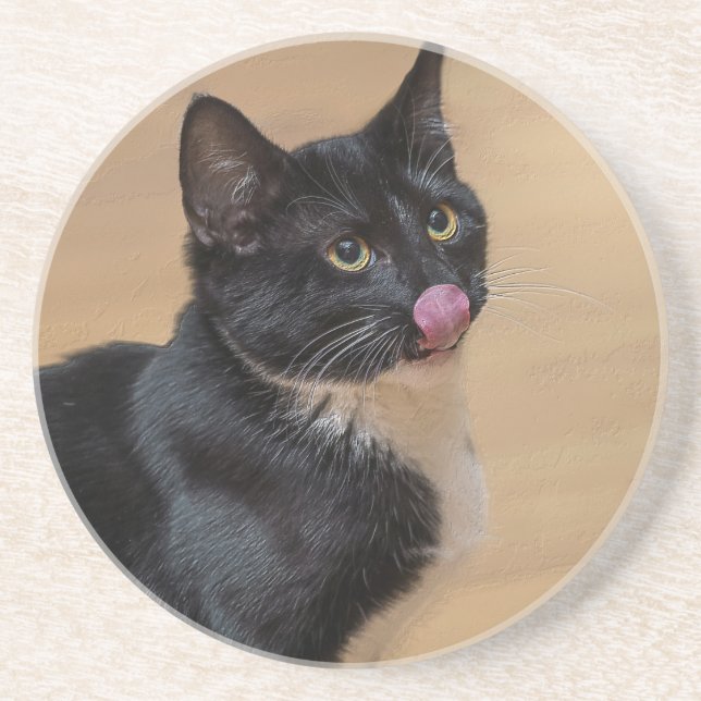 A Good Lick Painterly Coaster (Front)
