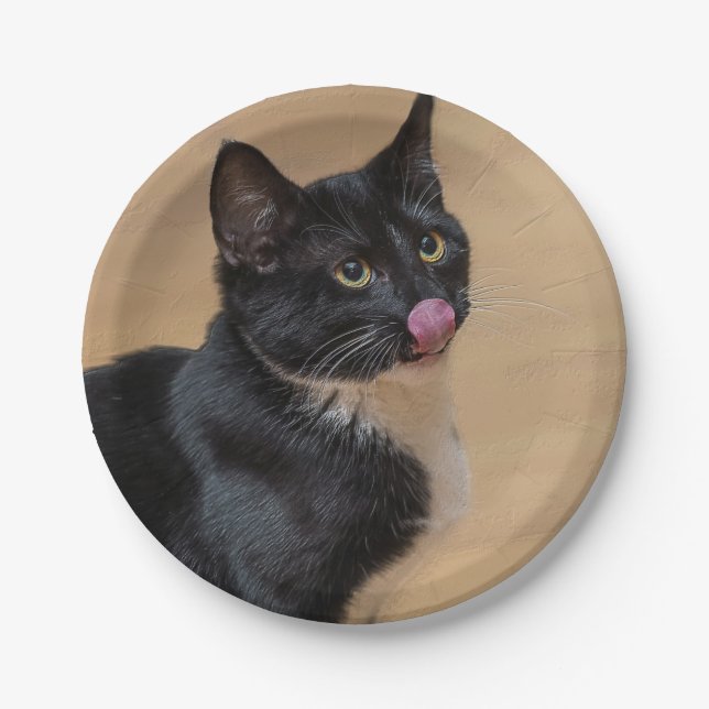 A Good Lick Painterly Paper Plates (Front)