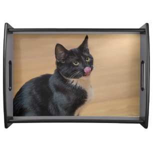 A Good Lick Painterly Serving Tray
