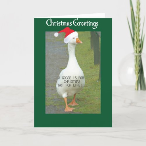 A Goose is for Christmas Not for Life  Xmas Card