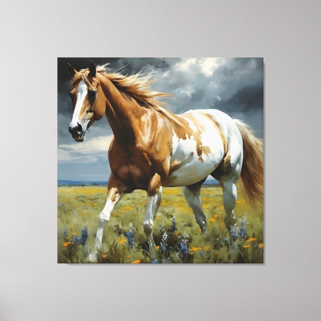 A Gorgeous Pinto Horse in the Meadow Canvas Print (Front)