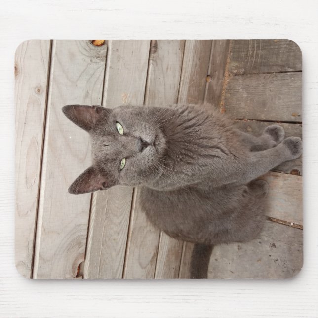 A Gray Noble Cat Mouse Pad (Front)