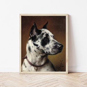 A Great Dane Carl Reichert Poster