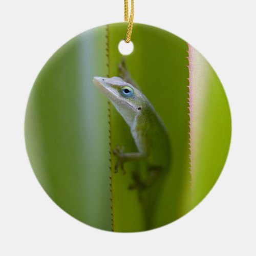 A green anole is an arboreal lizard ceramic ornament