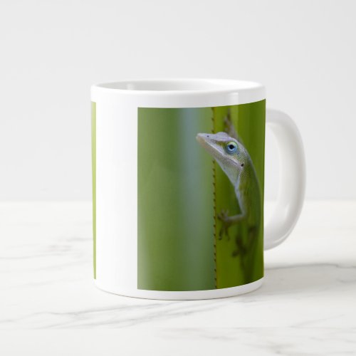 A green anole is an arboreal lizard giant coffee mug