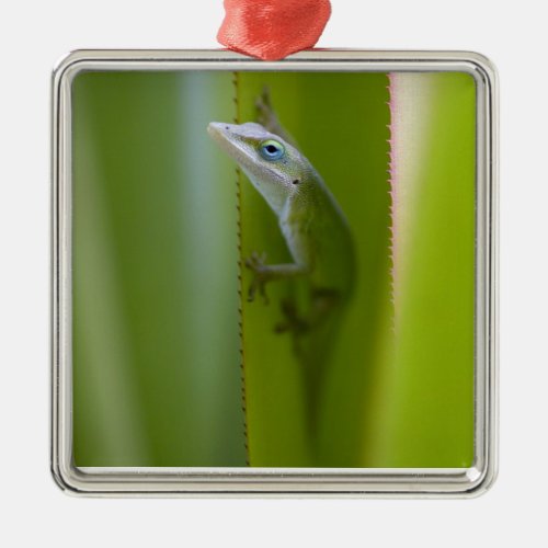 A green anole is an arboreal lizard metal ornament