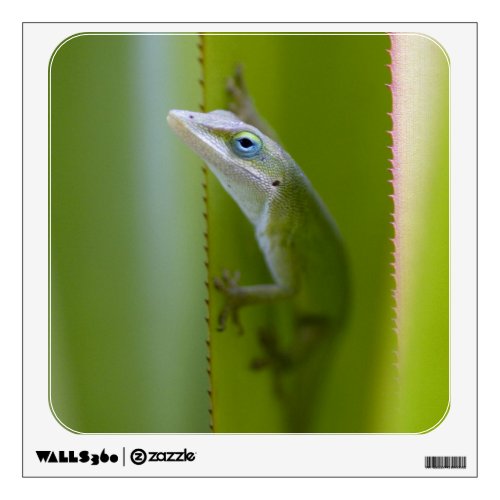 A green anole is an arboreal lizard wall decal