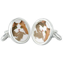 A Green Eyed Calico Cat Artistic Portrait