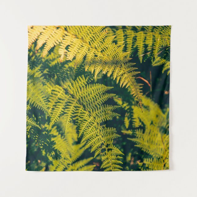 A green fern plants background with shadows. abstr tapestry (Front)