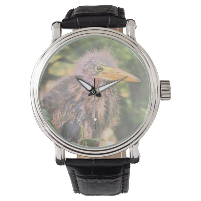 A green heron watch (Front)
