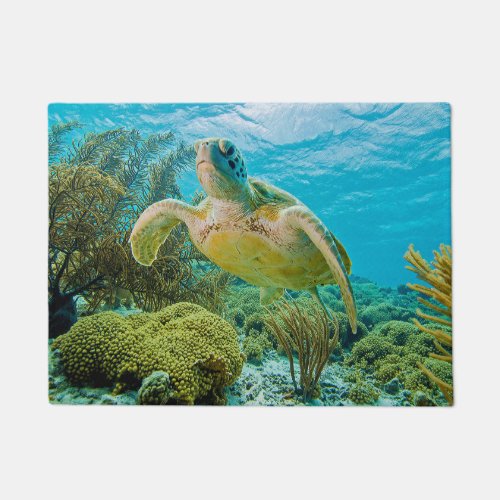 A Green Turtle On The Shallow Reefs Of Bonaire Doormat