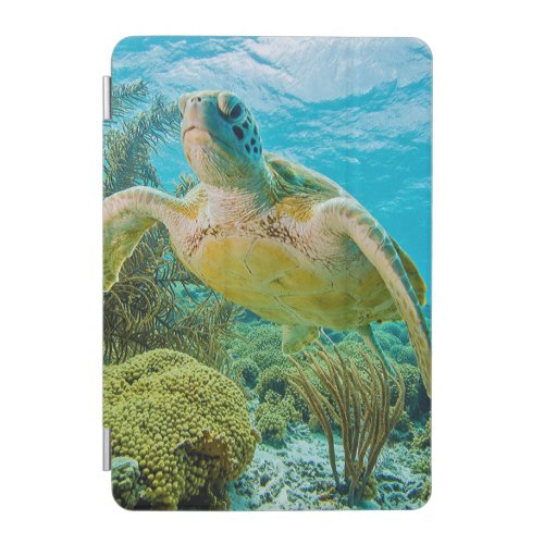 A Green Turtle On The Shallow Reefs Of Bonaire iPad Mini Cover